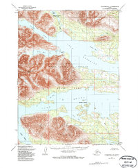 Download a high-resolution, GPS-compatible USGS topo map for Dillingham C-8, AK (1985 edition)