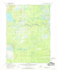 Topo map Dillingham D-6 Alaska