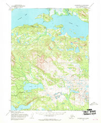 Topo map Dillingham D-7 Alaska