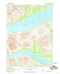 Topo map Dillingham D-8 Alaska