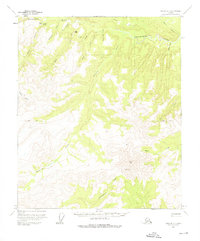 Topo map Eagle D-3 Alaska