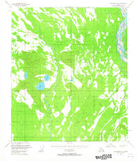 Download a high-resolution, GPS-compatible USGS topo map for Fairbanks B-1, AK (1965 edition)