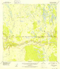 Download a high-resolution, GPS-compatible USGS topo map for Gulkana A-4, AK (1952 edition)