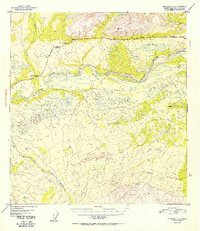 Download a high-resolution, GPS-compatible USGS topo map for Gulkana C-1, AK (1952 edition)