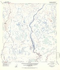 Download a high-resolution, GPS-compatible USGS topo map for Gulkana C-3, AK (1952 edition)