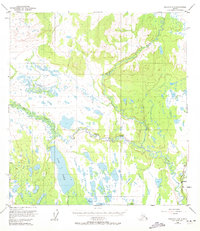 Topo map Gulkana C-4 Alaska