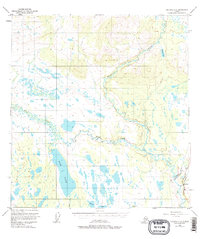 Download a high-resolution, GPS-compatible USGS topo map for Gulkana C-4, AK (1977 edition)