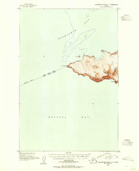 Download a high-resolution, GPS-compatible USGS topo map for Hagemeister Island C-7, AK (1955 edition)