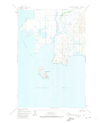 Download a high-resolution, GPS-compatible USGS topo map for Hagemeister Island D-1, AK (1974 edition)