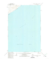 Topo map Hagemeister Island D-2 Alaska