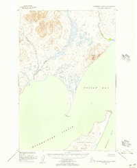 Download a high-resolution, GPS-compatible USGS topo map for Hagemeister Island D-3, AK (1957 edition)
