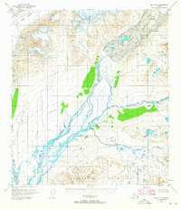 Download a high-resolution, GPS-compatible USGS topo map for Healy B-1, AK (1965 edition)