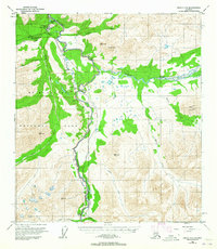 Download a high-resolution, GPS-compatible USGS topo map for Healy C-4, AK (1965 edition)