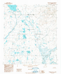 Download a high-resolution, GPS-compatible USGS topo map for Howard Pass A-4, AK (1990 edition)