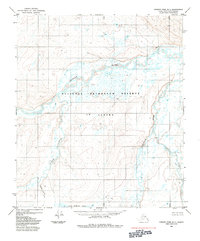 Topo map Howard Pass D-1 Alaska