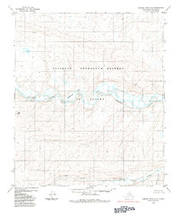 Topo map Howard Pass D-2 Alaska