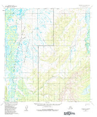 Topo map Iditarod D-4 Alaska