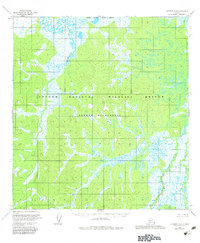 Topo map Iditarod D-6 Alaska