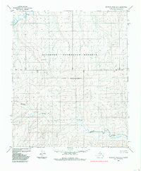 Download a high-resolution, GPS-compatible USGS topo map for Ikpikpuk River B-5, AK (1985 edition)