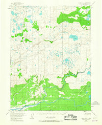 Download a high-resolution, GPS-compatible USGS topo map for Iliamna A-8, AK (1967 edition)