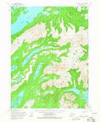 Download a high-resolution, GPS-compatible USGS topo map for Iliamna C-3, AK (1965 edition)