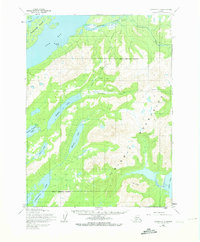 Download a high-resolution, GPS-compatible USGS topo map for Iliamna C-3, AK (1973 edition)