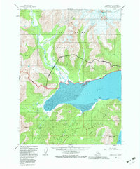 Download a high-resolution, GPS-compatible USGS topo map for Iliamna D-1, AK (1983 edition)