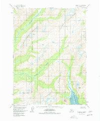 Download a high-resolution, GPS-compatible USGS topo map for Iliamna D-2, AK (1978 edition)