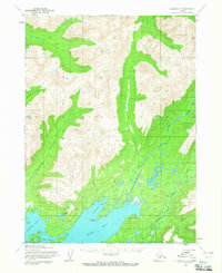 Topo map Iliamna D-3 Alaska