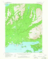 Download a high-resolution, GPS-compatible USGS topo map for Iliamna D-4, AK (1965 edition)