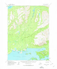 Topo map Iliamna D-4 Alaska