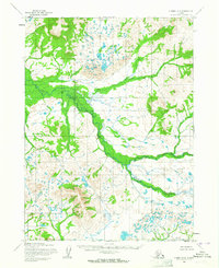 Download a high-resolution, GPS-compatible USGS topo map for Iliamna D-8, AK (1964 edition)