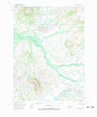 Download a high-resolution, GPS-compatible USGS topo map for Iliamna D-8, AK (1983 edition)