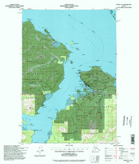 preview thumbnail of historical topo map of Hoonah-Angoon County, AK in 1994