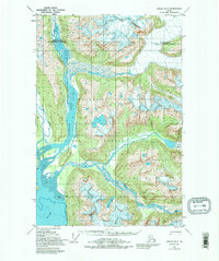 Download a high-resolution, GPS-compatible USGS topo map for Juneau D-3, AK (1995 edition)