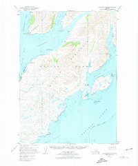 Topo map Kaguyak D-6 Alaska