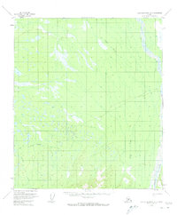 Topo map Kantishna River A-1 Alaska