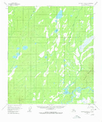 Download a high-resolution, GPS-compatible USGS topo map for Kantishna River A-3, AK (1980 edition)