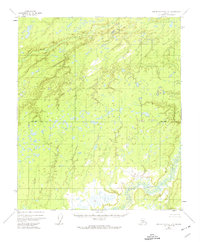 Topo map Kantishna River D-5 Alaska