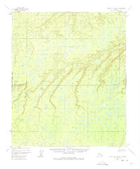 Topo map Kantishna River D-6 Alaska