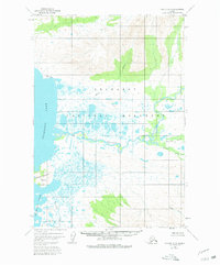 Topo map Karluk D-6 Alaska