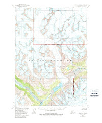 Download a high-resolution, GPS-compatible USGS topo map for Kenai D-8, AK (1988 edition)