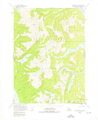 Download a high-resolution, GPS-compatible USGS topo map for Ketchikan C-4, AK (1976 edition)