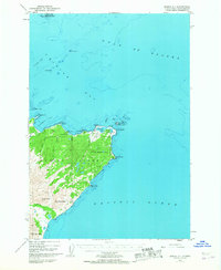 Topo map Kodiak C-1 Alaska
