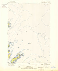 Topo map Kodiak D-1 Alaska