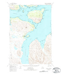 Topo map Kodiak D-3 Alaska