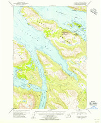 Topo map Kodiak D-4 Alaska