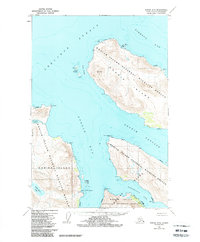 Topo map Kodiak D-5 Alaska