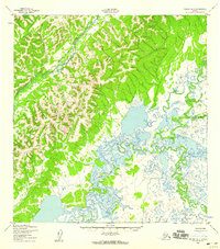 Download a high-resolution, GPS-compatible USGS topo map for Kwiguk B-1, AK (1959 edition)