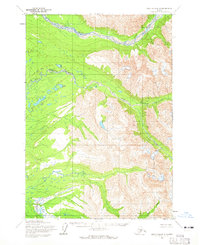 Download a high-resolution, GPS-compatible USGS topo map for Lime Hills B-4, AK (1965 edition)